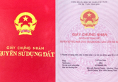 Nộp thuế hàng năm có được miễn tiền sử dụng đất khi làm Sổ đỏ?
