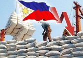 Xuất khẩu gạo sang Philippines giảm đến 49% trong tháng 2/2021