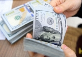 Giá USD ở mức cao nhất trong hai tuần qua