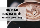 Dự báo giá cà phê tuần tới (29/3 - 3/4): Nguồn cung thấp, tiêu thụ tiếp tục giảm vì COVID-19