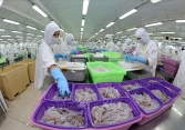 Kiểm soát dịch bệnh COVID-19 tốt giúp thu thuế xuất nhập khẩu khởi sắc