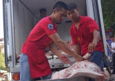 Trung Quốc, Philippines và Việt Nam thiếu thịt heo trầm trọng vì dịch tả heo châu Phi