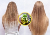 8 biện pháp tự nhiên giúp kích thích mọc và làm dày mái tóc của bạn