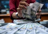 Nhà đầu tư chốt lời, USD rơi khỏi đỉnh 5 tháng