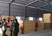 Phát hiện lượng lớn nệm Thắng Lợi giả
