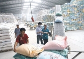 Xuất khẩu gạo giảm mạnh về lượng và giá trị