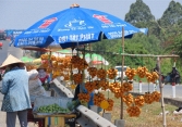 Thị trường thực phẩm 15/4: Thanh trà miền Tây giá 50.000-70.000 đồng/kg