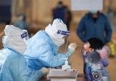 COVID-19 chiều 16/4: Việt Nam ghi nhận thêm 14 ca nhiễm mới