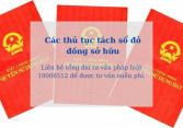 Sang tên sổ đỏ đất đồng sở hữu cần lưu ý gì?