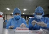Thủ tướng ra công điện tăng cường chống dịch COVID-19, kiểm soát chặt nhập cảnh ở biên giới Tây Nam