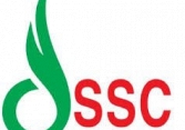 SSC: Báo cáo tài chính quý 1/2021