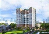 BMS: Báo cáo tài chính quý 1/2021
