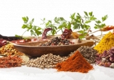 Giá tiêu dao động từ 65.000-69.000 đồng/kg