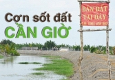 Tăng đến 300%, điều gì tạo nên 'cơn sốt đất' ở Cần Giờ?
