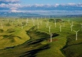 DL1: Báo cáo tài chính năm 2020 (Công ty mẹ)