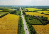 Long An chuyển hơn 81 ha đất trồng lúa sang đất phi nông nghiệp