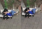 Vô tư ôm hôn nằm lên đùi nhau sau giờ học, cặp đôi khiến dân tình ngán ngẩm