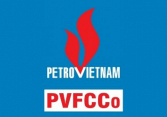 PMB: Báo cáo tài chính quý 1/2021
