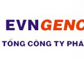 PGV:  Báo cáo tài chính quý 1/2021 (công ty mẹ)