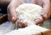 Gạo Việt tại Anh đều mang nhãn hiệu Tây