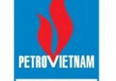 PGS: Báo cáo tài chính quý 1/2021 (công ty mẹ)