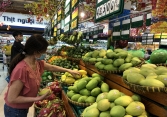 Xoài rớt giá còn 7.000- 8.000 đồng/kg