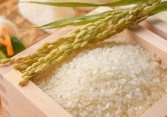 Giá lúa gạo ổn định