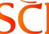 S99: Báo cáo tài chính quý 1/2021
