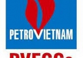 PSW: Báo cáo tài chính quý 1/2021
