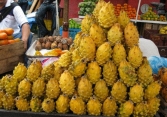 Thanh long vỏ vàng có gai giá 400.000 đồng/kg người tiêu dùng săn mua