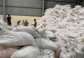 Biến hơn 52 tấn tinh bột sắn Lào thành sắn Tây Ninh