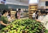 Bơ 034 rớt giá mạnh, chỉ còn 40.000 đồng/kg