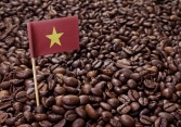 Giá cà phê đồng loạt tăng trên thị trường quốc tế
