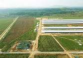 Tổ hợp trang trại tại Lào của Vinamilk đẩy nhanh tiến độ hoàn thành giai đoạn 1