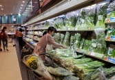 Giá mận vàng tam hoa giảm mạnh, chỉ còn phân nửa so với năm ngoái