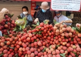 Bánh ú, heo quay, vải thiều hết sạch ngày Tết Đoan ngọ 