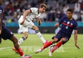 Link xem trực tiếp Hungary vs Pháp, 20 ngày 19/6