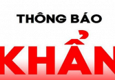 Khẩn: Tìm người đã từng đến chợ Bình Điền, chợ đầu mối Hóc Môn và chợ Sơn Kỳ