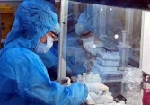 Việt Nam có 240 ca dương tính COVID-19 trong chiều 30/6, nhiều nhất vẫn là TP.HCM