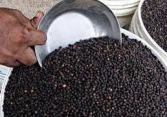 Xuất khẩu hồ tiêu tăng mạnh về giá trị
