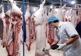 Vissan ngừng giao hàng đến TP HCM do xuất hiện 43 ca nhiễm COVID-19