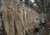 TP.HCM có thiếu thịt heo khi Vissan dừng hoạt động?