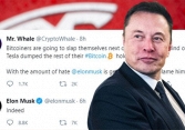 Thị trường tiền ảo đỏ rực sau khi Elon Musk đăng Tweet ám chỉ Tesla đã bán hết Bitcoin