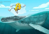 Chuyên gia nhận định Bitcoin đang ngày càng 'trưởng thành' và ổn định hơn 