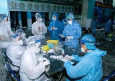 Thêm 14.208 ca mắc COVID-19 trong ngày 7/9, có 10.253 bệnh nhân khỏi bệnh