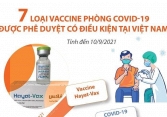  7 loại vaccine phòng COVID-19 được phê duyệt có điều kiện tại Việt Nam