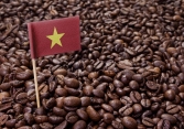 Dịch COVID-19 ở Việt Nam đã tác động đến giá cà phê thế giới như thế nào?