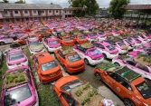 Ế ẩm vì COVID-19, taxi bỏ không biến thành vườn rau ở Thái Lan