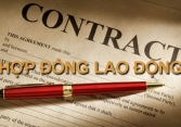 Các loại hợp đồng lao động chuẩn theo Bộ luật Lao động mới