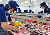 Cổ phiếu xuất khẩu tăng nhờ kỳ vọng kinh tế Mỹ hồi phục